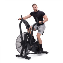 AirBike Insportline Max